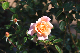image0186