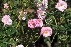 image0187