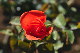 image0193