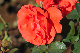 image0194