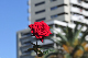 image0199