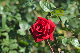 image0202