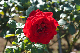 image0203