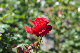 image0204