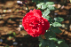 image0205