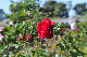 image0206