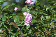 image0211