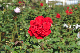 image0214