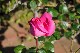image0216