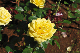 image0217