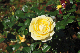 image0218