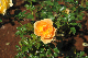 image0219