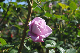 image0222