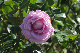 image0223