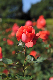 image0224