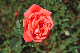 image0226