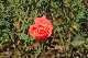 image0229