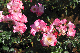 image0231
