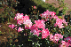 image0232
