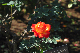 image0239