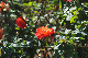 image0240