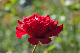 image0241