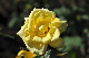 image0242