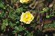 image0243