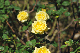 image0244