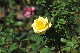 image0245