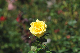 image0246