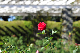 image0248