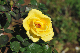 image0251