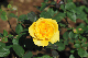 image0252
