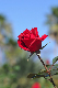 image0254