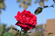 image0255