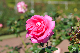 image0256