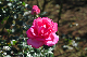 image0257