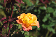 image0261