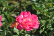 image0262