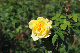 image0270