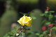 image0272