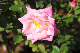 image0276
