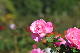 image0282