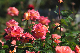 image0283