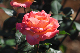 image0284