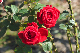 image0285