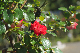 image0287