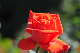 image0292