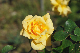 image0293